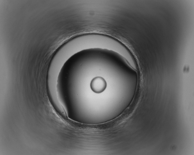 X0000115260577200911201708
