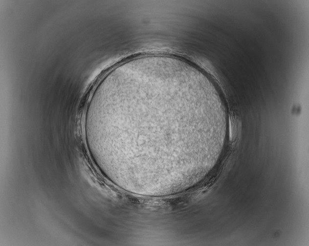 X0000115260579200911201708