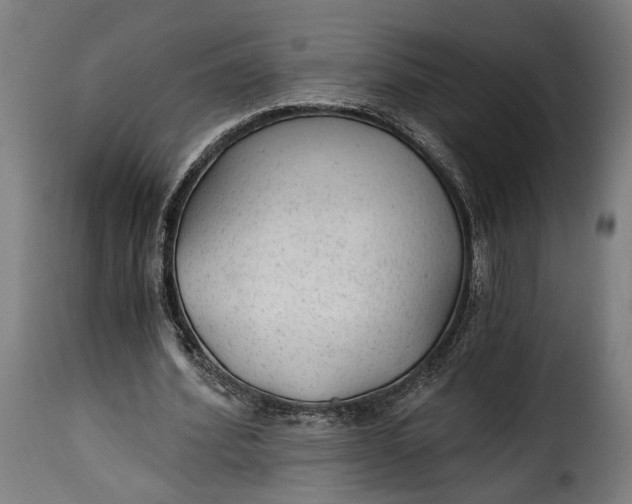 X0000115260580200911201708