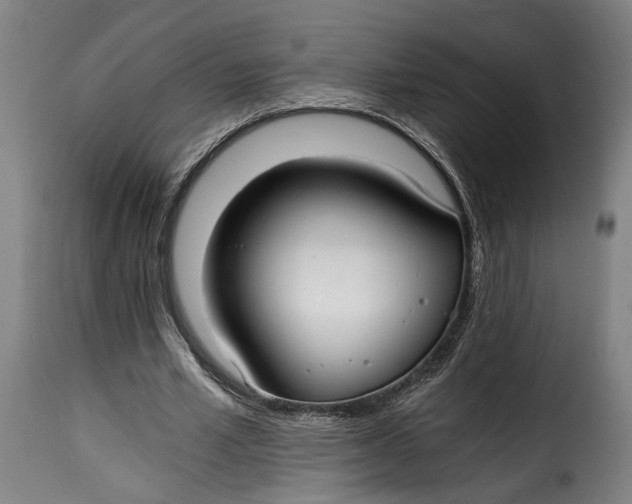 X0000115260581200911201708
