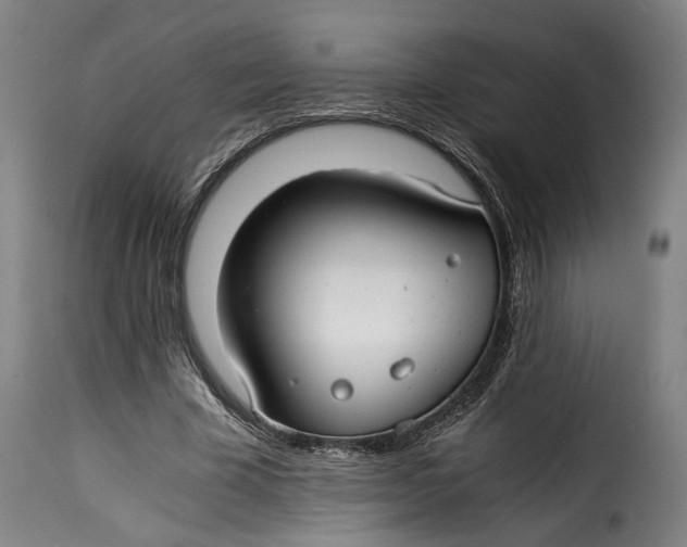X0000115260585200911201708