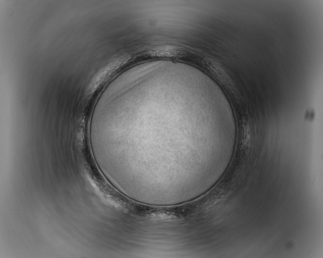 X0000115260586200911201708