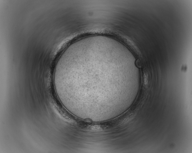 X0000115260588200911201708