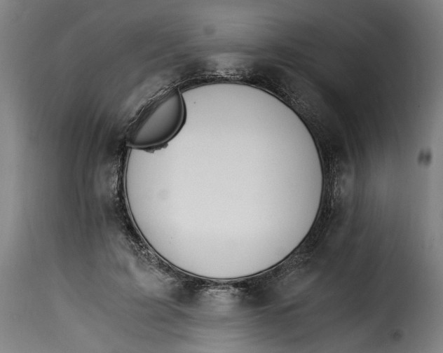 X0000115260595200911201707