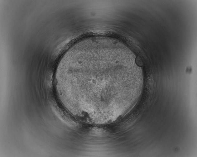 X0000115260596200911201707