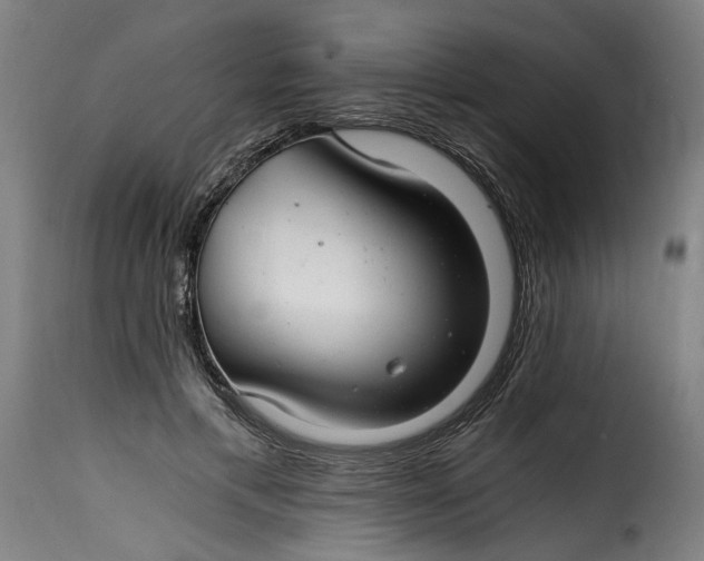 X0000115260597200911201707