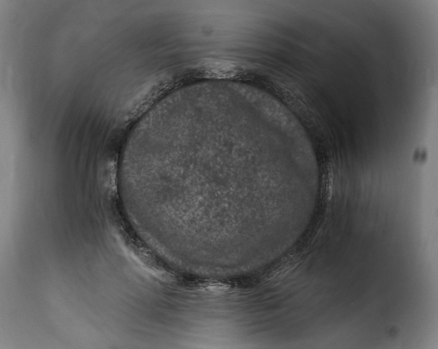 X0000115260598200911201707