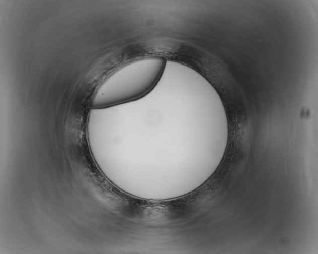 X0000115260599200911201707