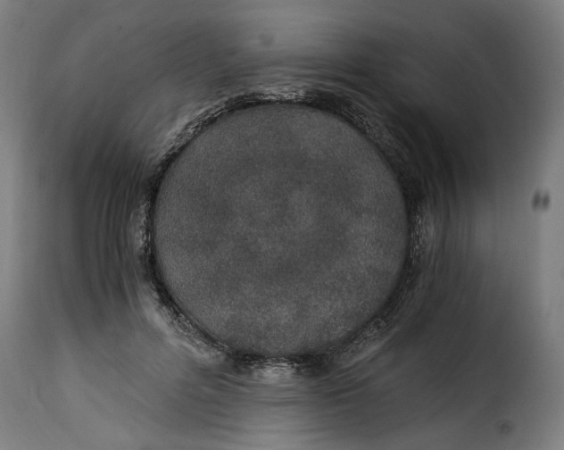 X0000115260600200911201707