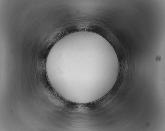 X0000115260601200911201707