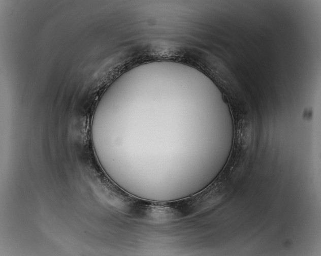 X0000115260605200911201707
