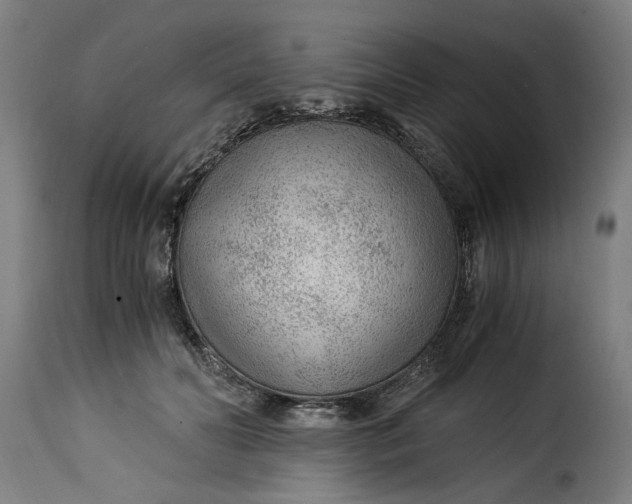 X0000115260606200911201707