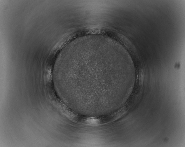 X0000115260610200911201707
