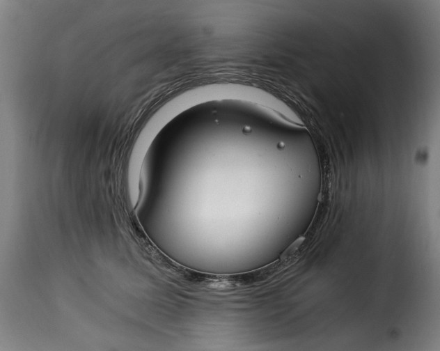 X0000115260611200911201707