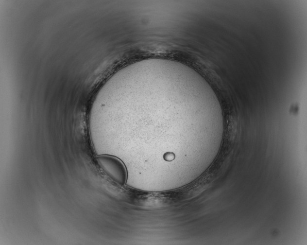 X0000115260612200911201707