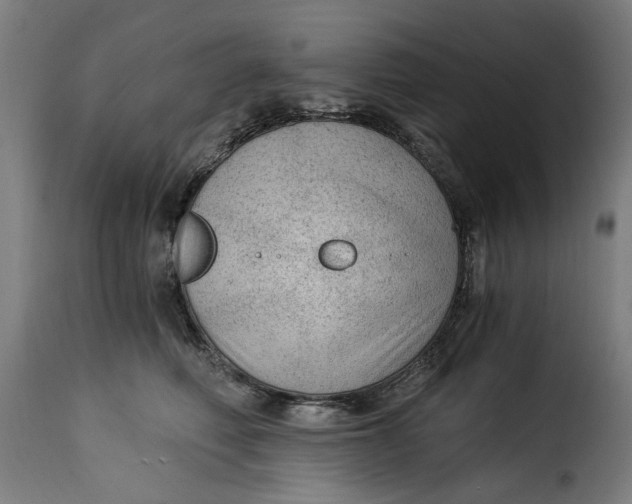 X0000115260614200911201707