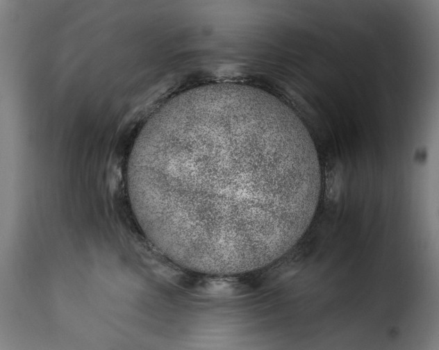 X0000115260618200911201707
