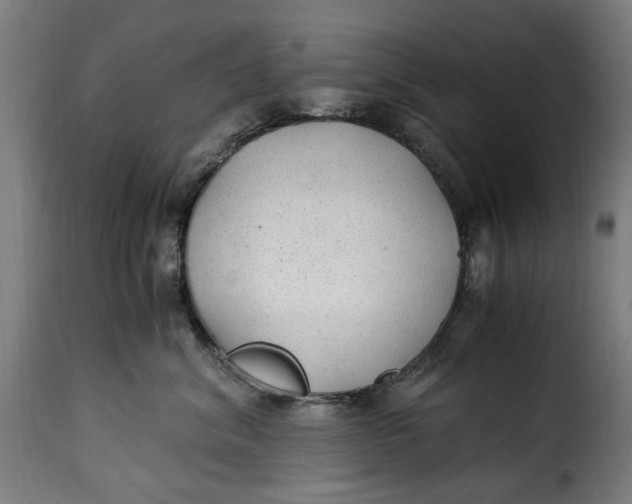 X0000115260620200911201707