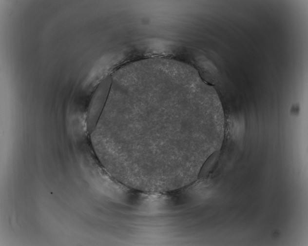 X0000115260621200911201707