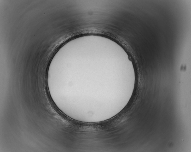 X0000115260625200911201706