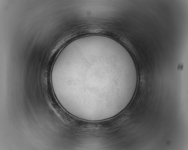 X0000115260626200911201706
