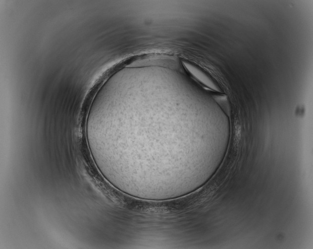 X0000115260628200911201706