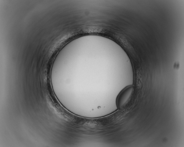 X0000115260631200911201706