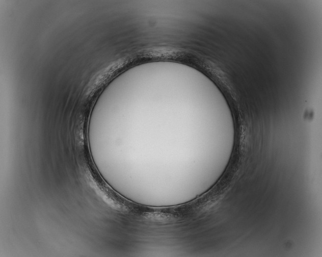 X0000115260633200911201706