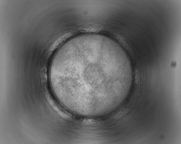 X0000115260634200911201706