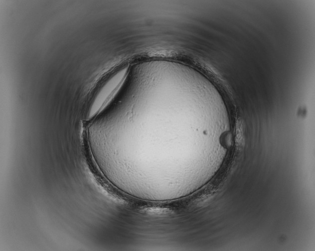 X0000115260637200911201706