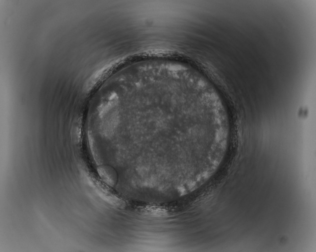 X0000115260640200911201706