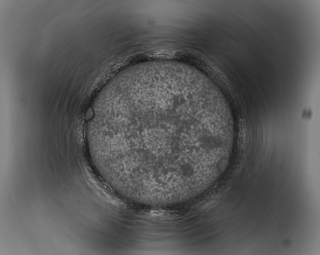 X0000115260641200911201706