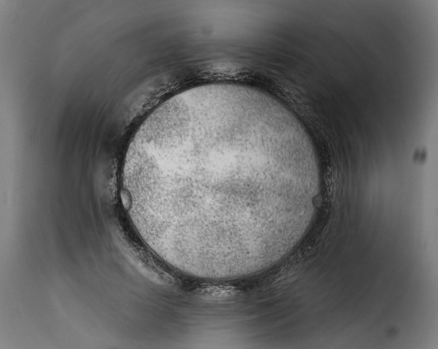 X0000115260642200911201706