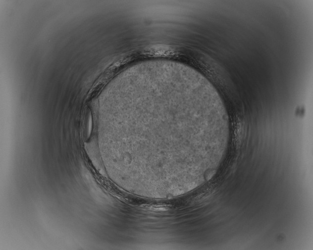 X0000115260643200911201706