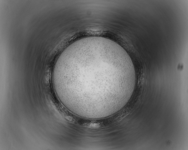X0000115260647200911201707