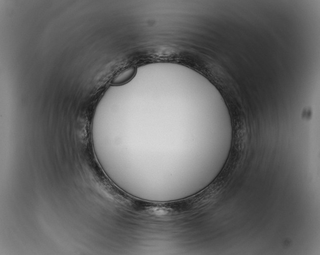 X0000115260654200911201707