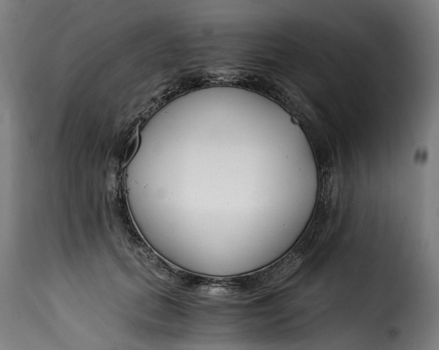 X0000115260655200911201707