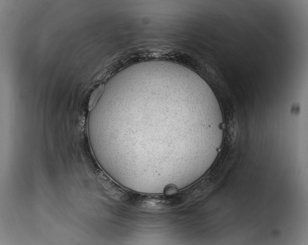 X0000115260657200911201707