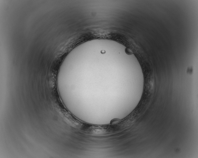 X0000115260658200911201707