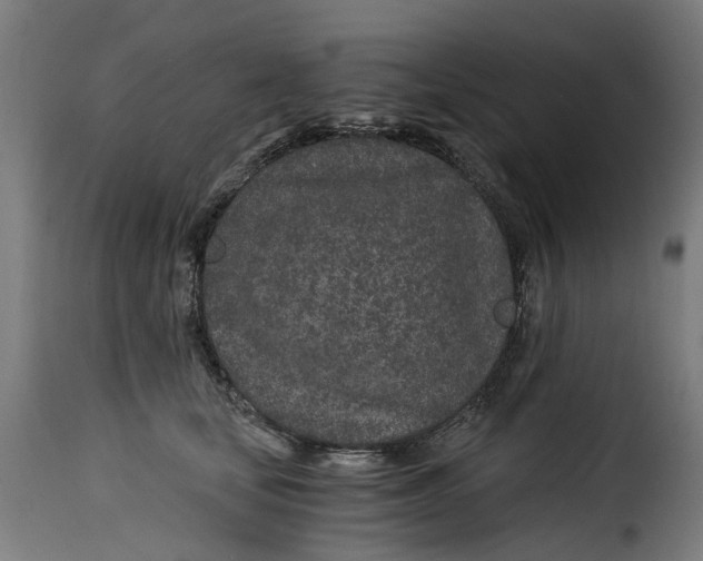 X0000115260659200911201707