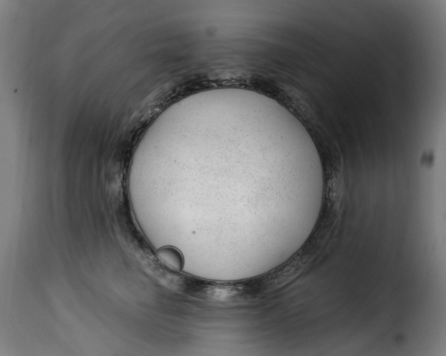 X0000115260662200911201707