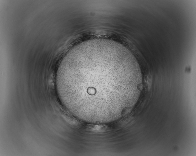 X0000115260663200911201707