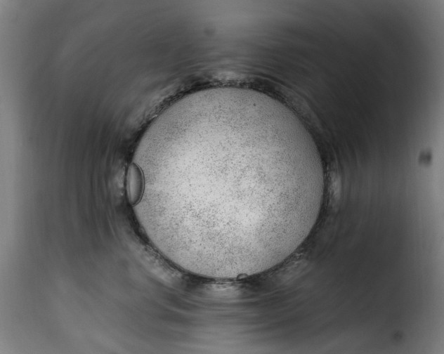 X0000115260668200911201707