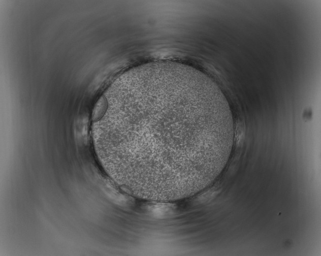 X0000115260670200911201707