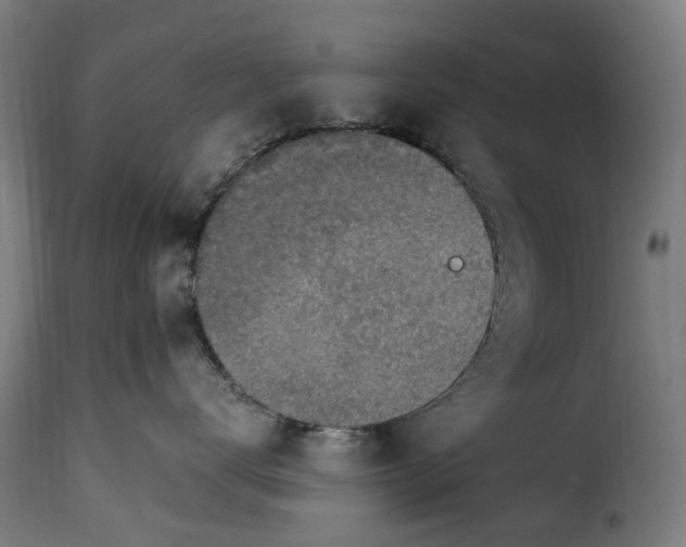 X0000115260672200911201707