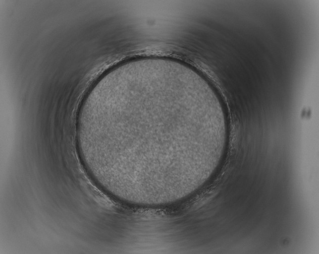 X0000115260673200911201706