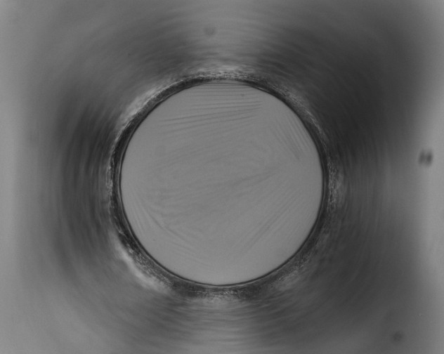 X0000115260674200911201706