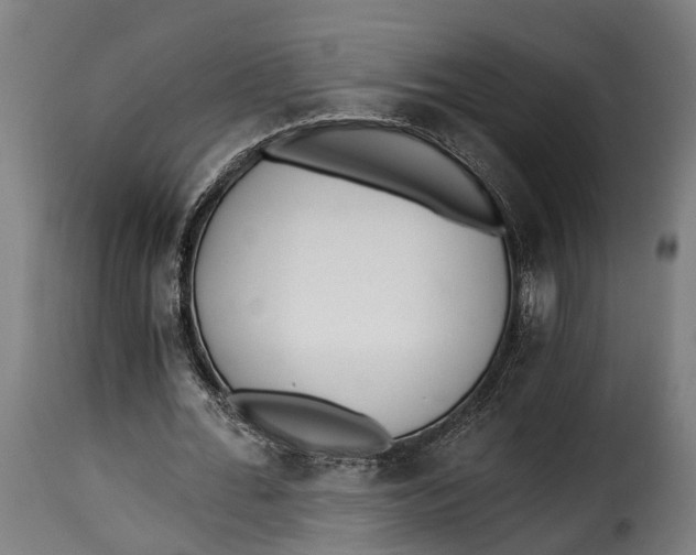 X0000115260676200911201706