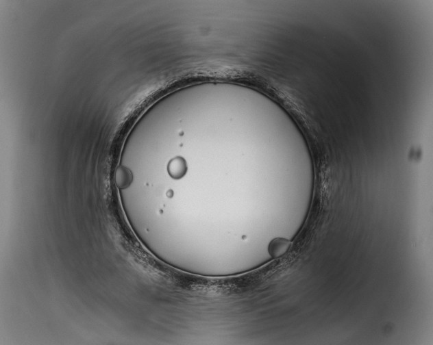 X0000115260679200911201706