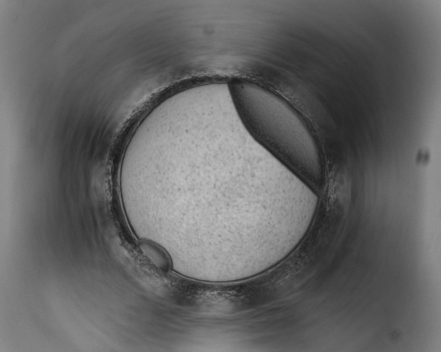X0000115260680200911201706